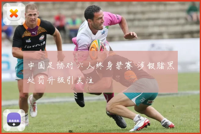 中国足协对六人终身禁赛 涉假赌黑处罚升级引关注