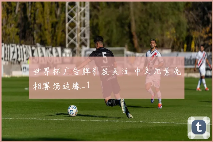 世界杯广告牌引发关注 中文元素亮相赛场边缘_1